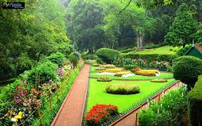 Coonoor Sightseeing