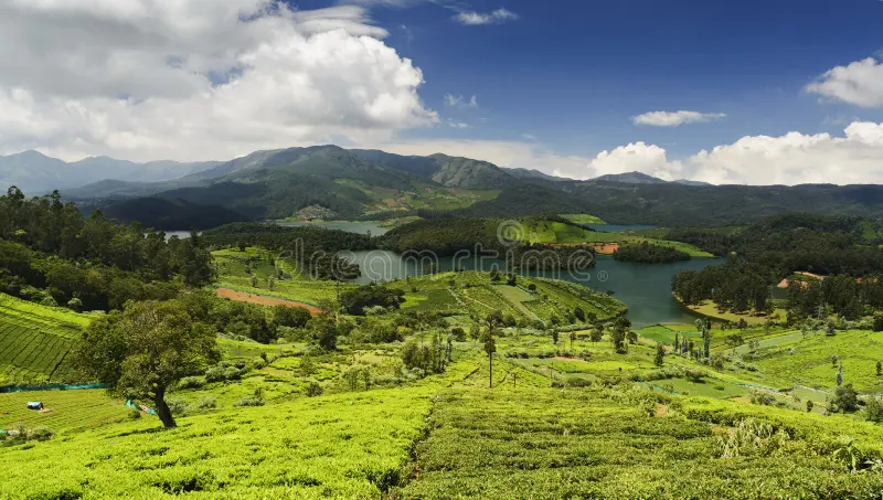 Ooty Full Sightseeing